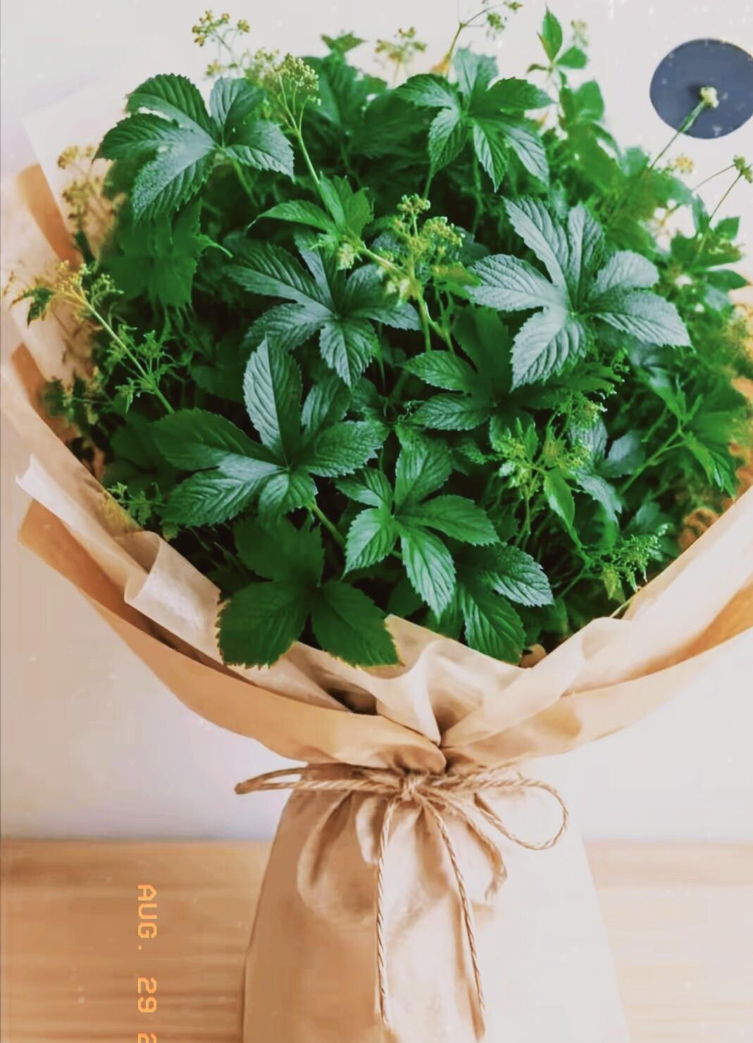 九十三岁老人告诉我：每天早上的五分钟，比吃任何补品都管用说实话，我以前对“养生