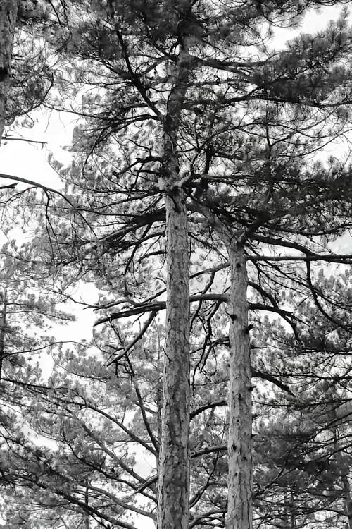 38岁，工厂倒闭，失业半年。终于鼓起勇气在网上投了个社区后勤岗，面试当天过了，月