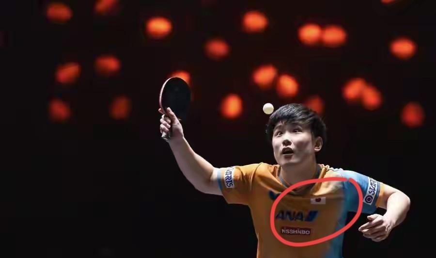 张本智和是怎么一步一步走到不受欢迎的地步的。说句实话，张本智和最初还是很受中国