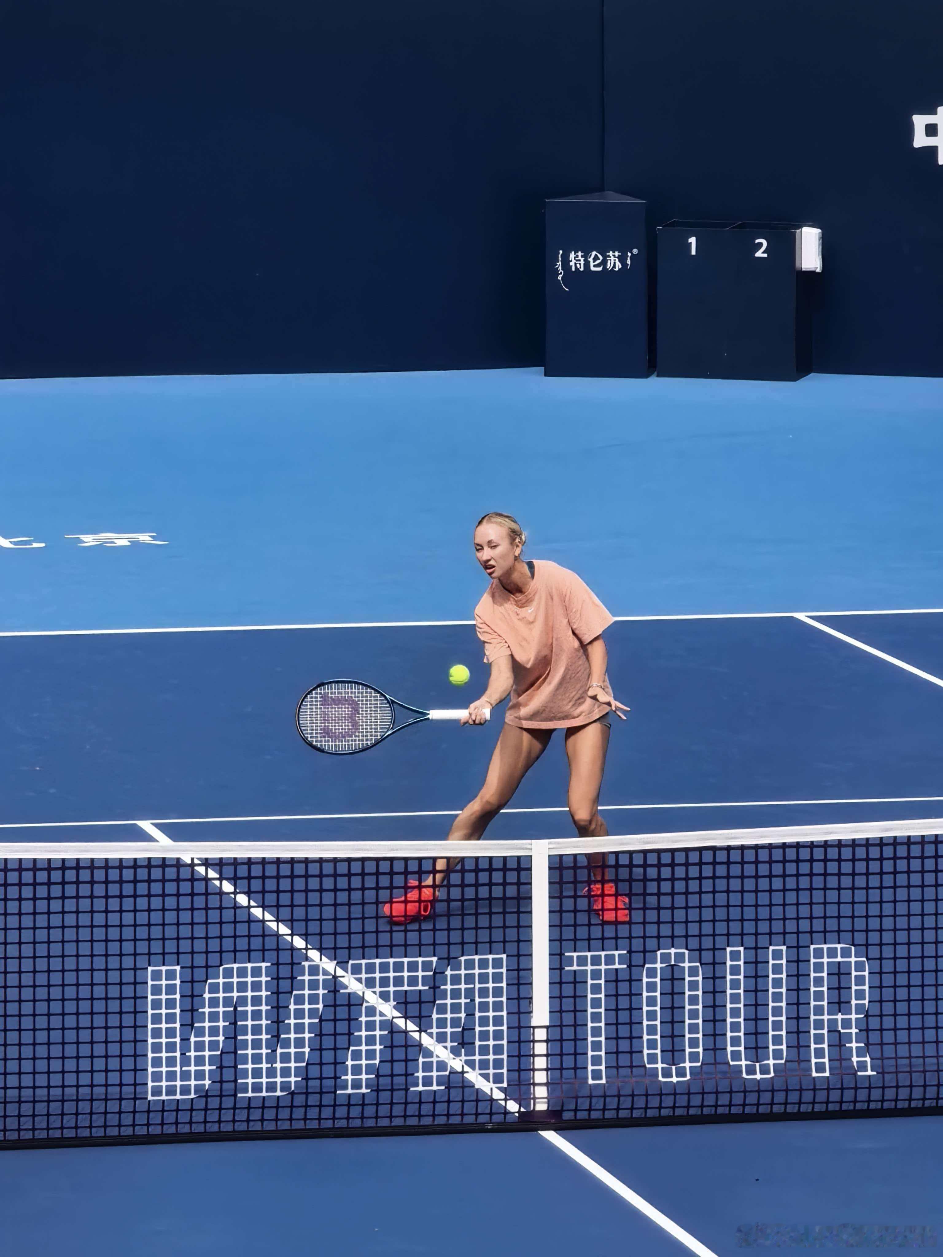 昨天晚上做了个很清楚的梦，情景设定是在读大学，然后波塔波娃在隔壁班，我去找她，想