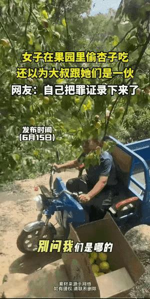 “丢大人了！”6月17日，女子在果园里偷杏子吃，大叔路过，也摘了一个，女子以为大