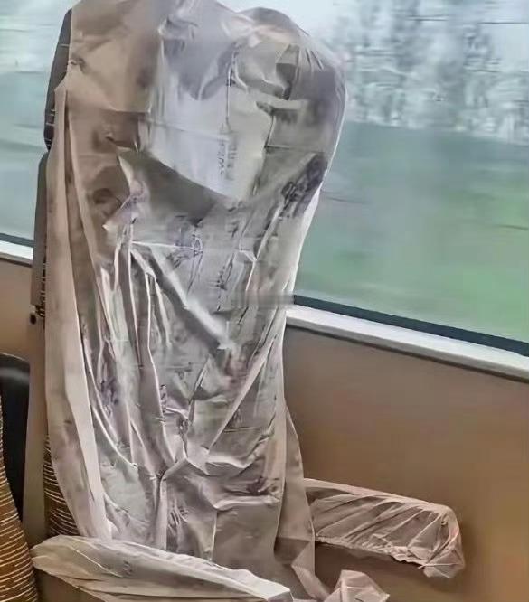 洁癖这么重！做什么高铁呢？