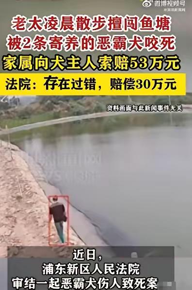 上海，一位80多岁的陈老太因年纪大睡不着，凌晨五点出门溜达。她来到一片私人鱼塘，