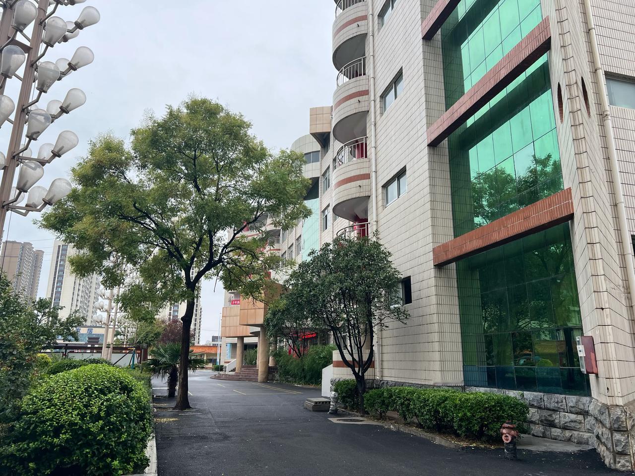 这个学期以来，班级实行了站立早读，我认为这种模式很好。每天早上，学生一到教室，