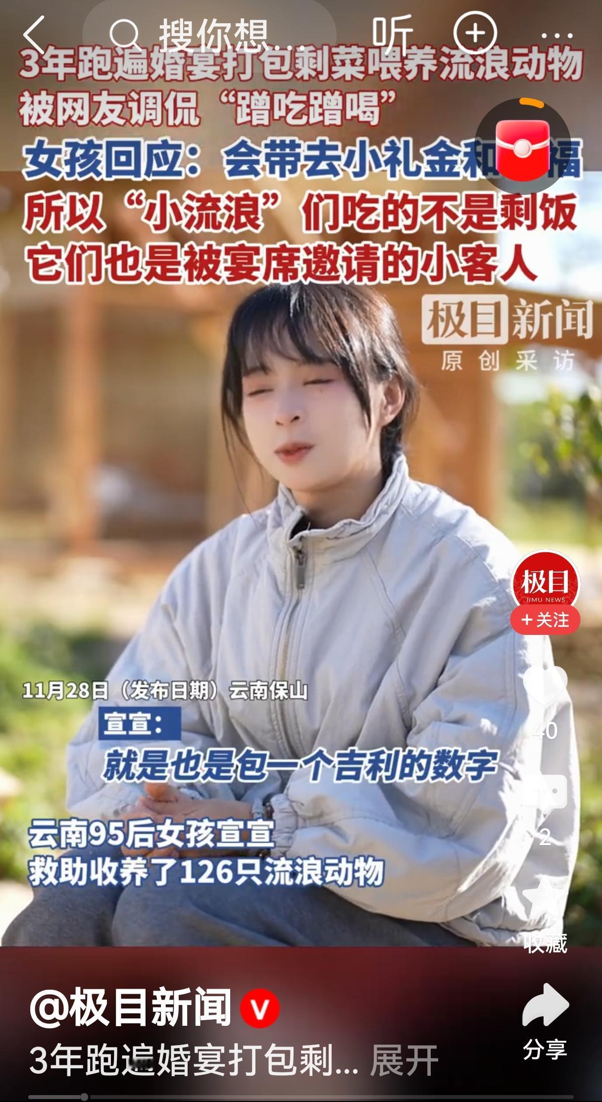 几位女孩的爱心点赞，也为她的行为担忧。如此经常喂养流浪猫，实际上就构成了和流浪猫