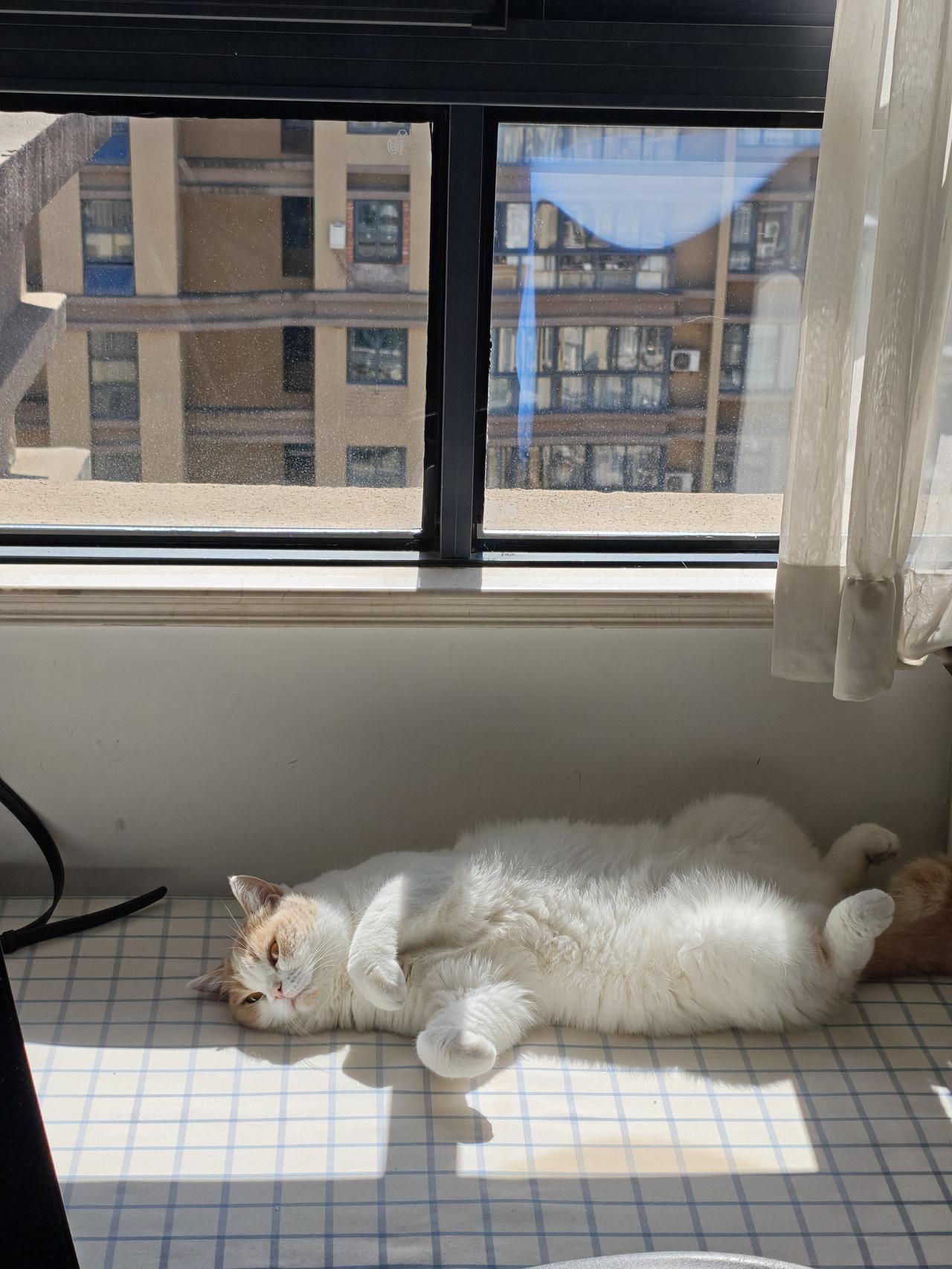 加班究竟是敬业的体现，还是遭遇了道德绑架？原本，加班是应对紧急任务的特殊举措，