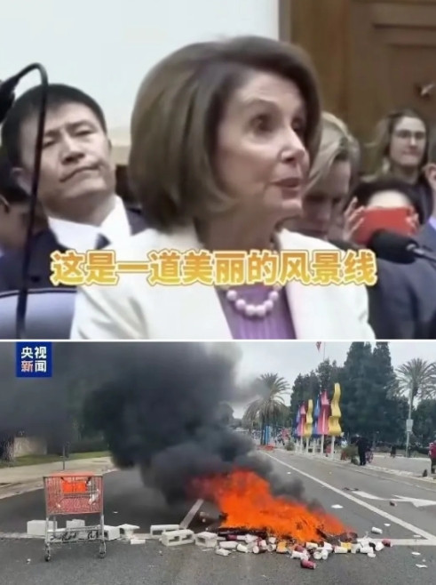 按照佩洛西老太太的说法，这次加州抗议清除非法移民行动也是一道美丽的风景线，都为了