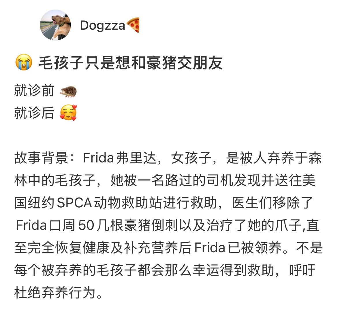 小狗和豪猪交朋友的下场​​​