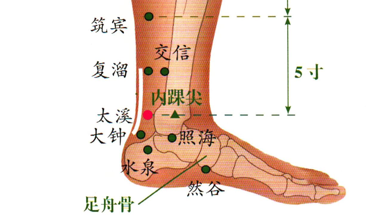 太溪:位于足内侧,足内踝(高点)后方与脚跟骨筋腱之间的凹陷处(即:脚