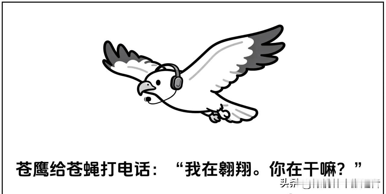 爆笑漫画逗你一乐：翱翔