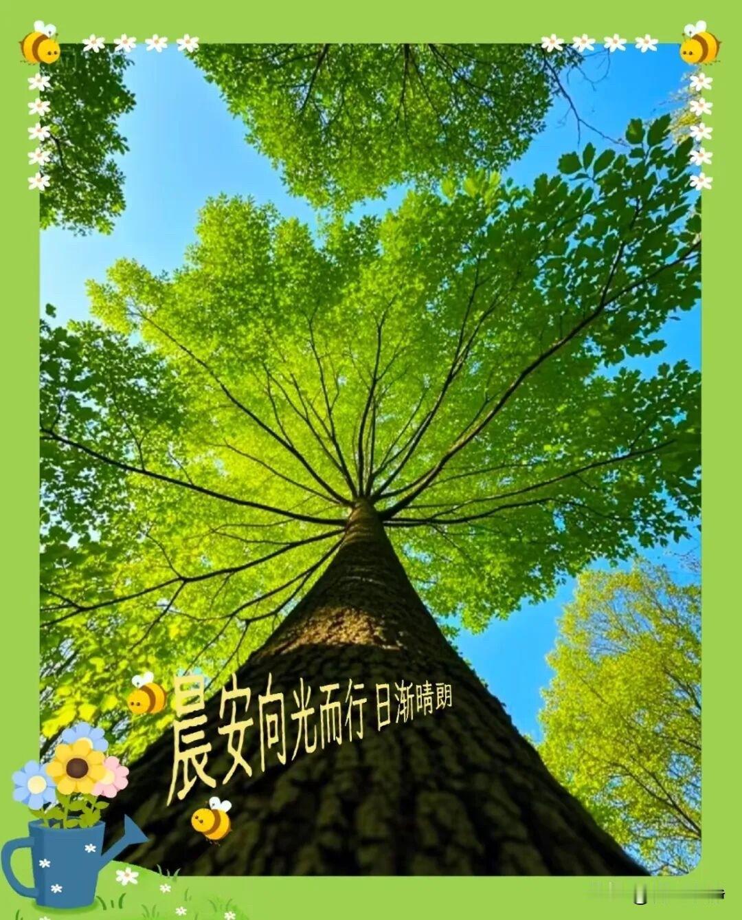 🌷²⁰²⁶/₀₅.₃₀ᵕ̈周六早安.万事顺意☀️☕️🍒晨光漫过窗棂，捎
