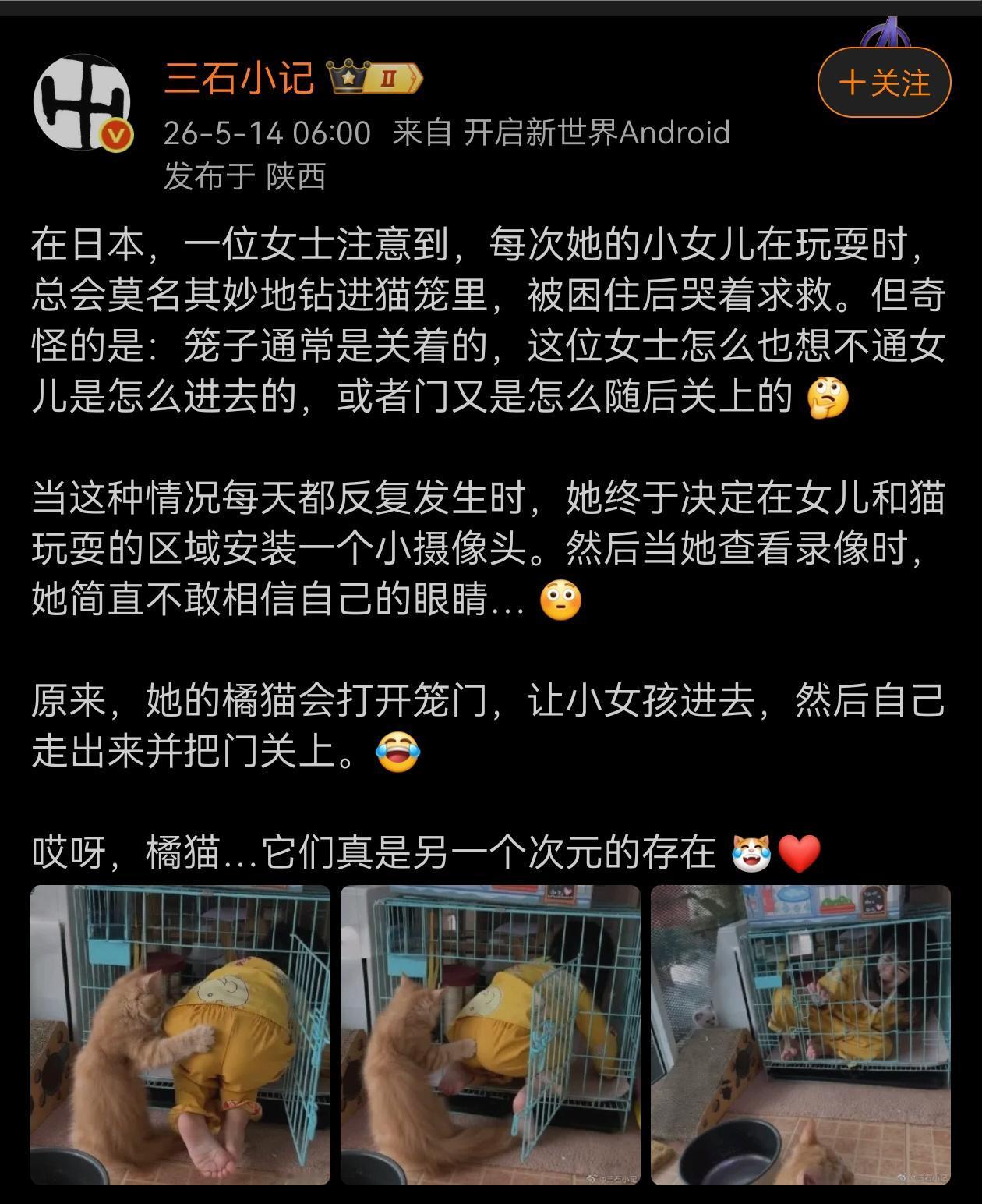 这只心机猫，真会坑孩子。