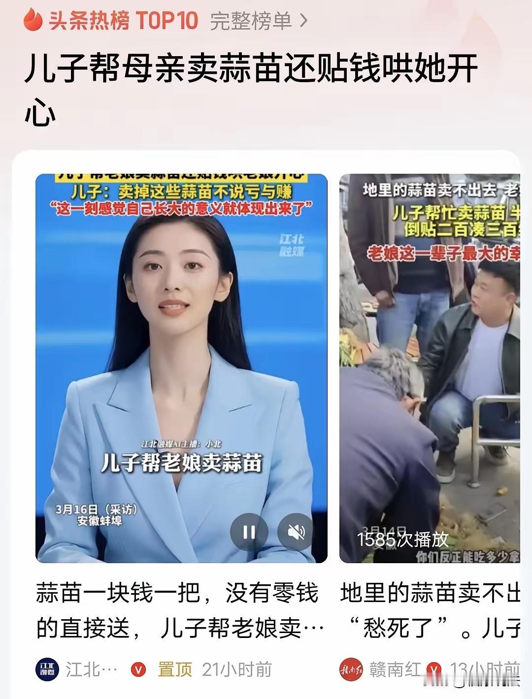 值！安徽蚌埠，65岁母亲种了一亩地蒜苗，卖不掉，愁的直叹气，儿子开车回家，将蒜苗