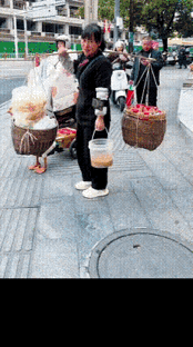 同样是大鹅🦢，看看人家的[赞]