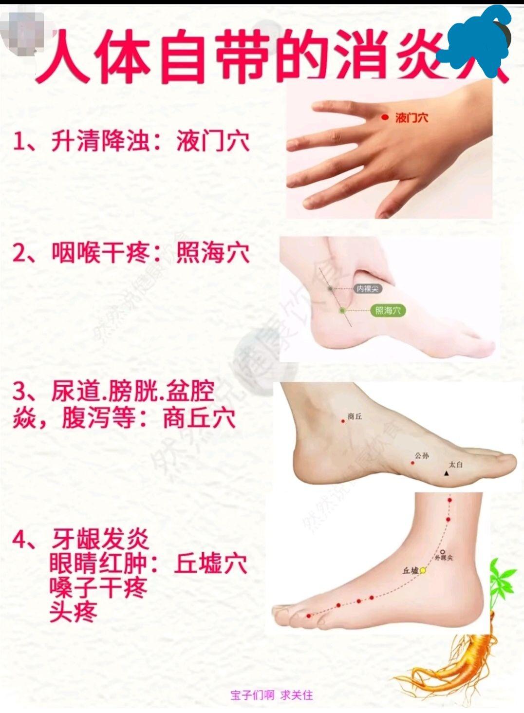 小知识大作用 每天跟我涨知识 实用冷知识 手部穴位 中医养生