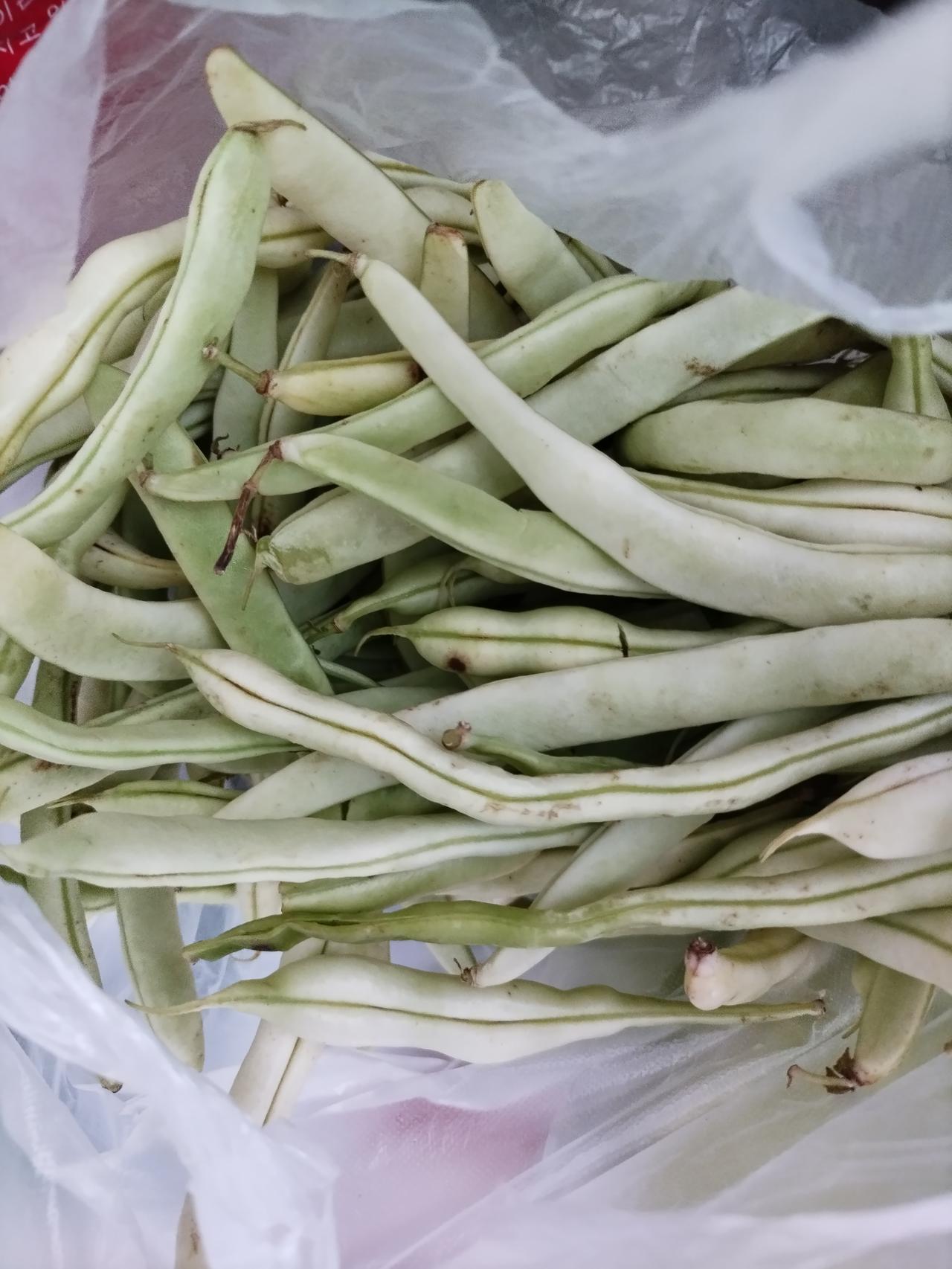 今天早晨和老伴儿在铁西12路早市儿买点儿菜。你们看看这菜价格合理不？芸豆