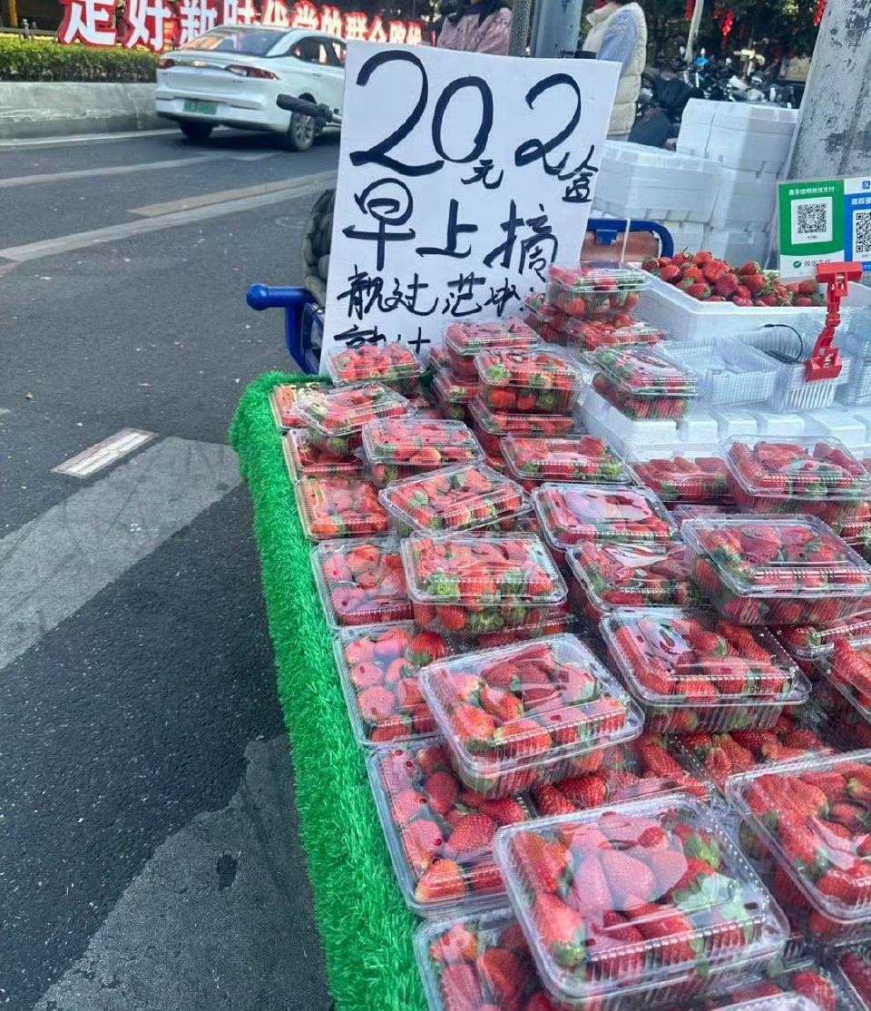 这草莓价也太离谱了，我怎么从来没遇上过啊草莓价格跌至1元一斤