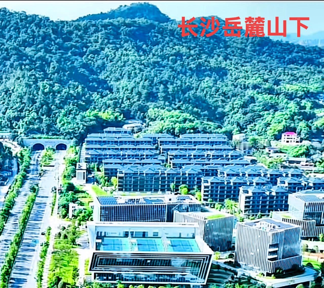 真想不到，长沙岳麓山下面，居然还有这么多这么好的玻璃楼盘。估计都是精英人才的办公