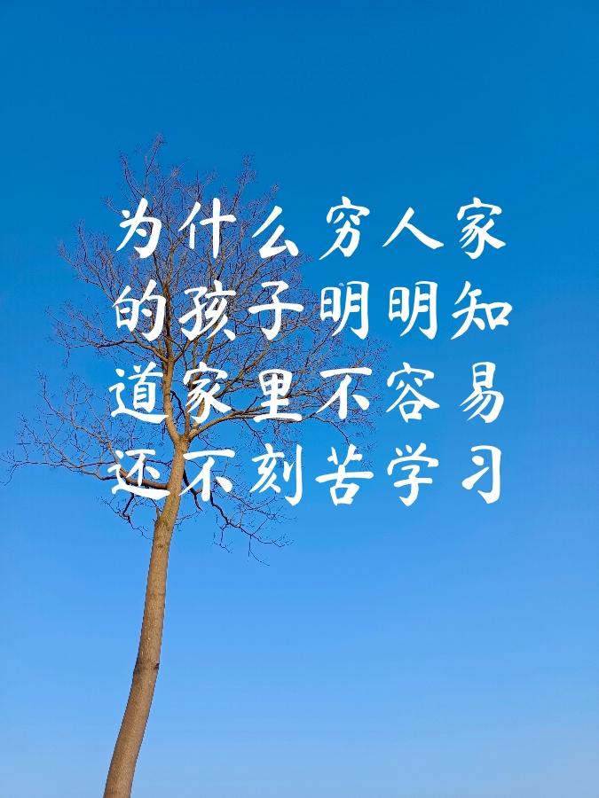 家里不容易这个信息是烙印在穷孩子骨子里的，饭桌上父母为了几十块钱争吵，交学费时东
