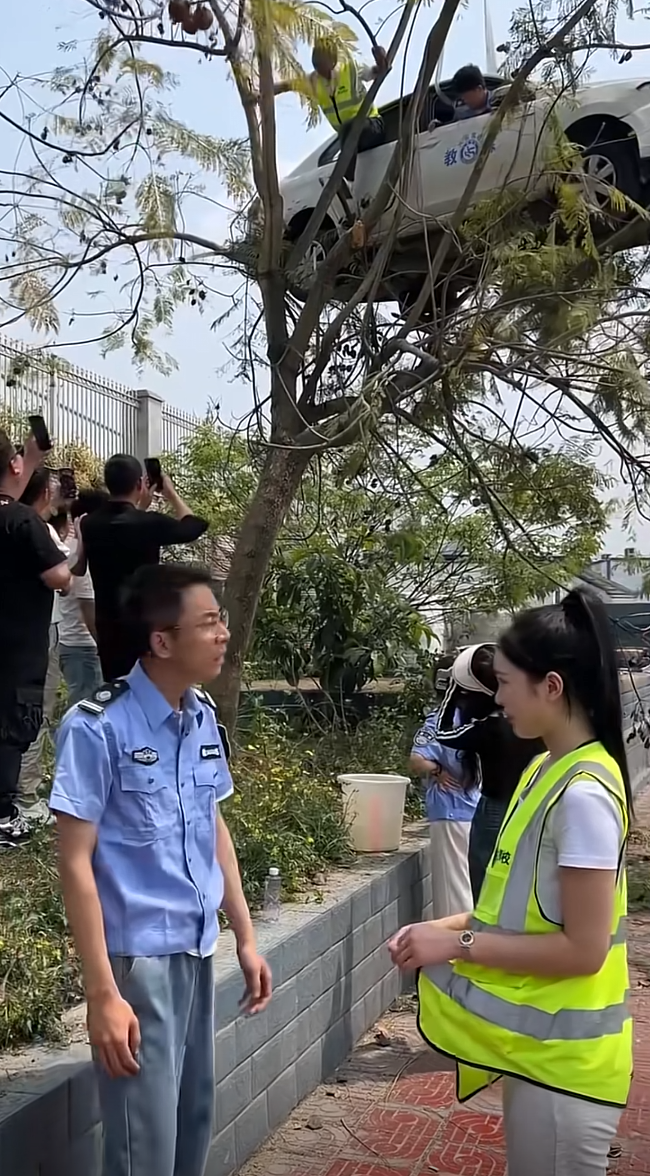 我就不明白了，这啥技术这咋开上去的呢？