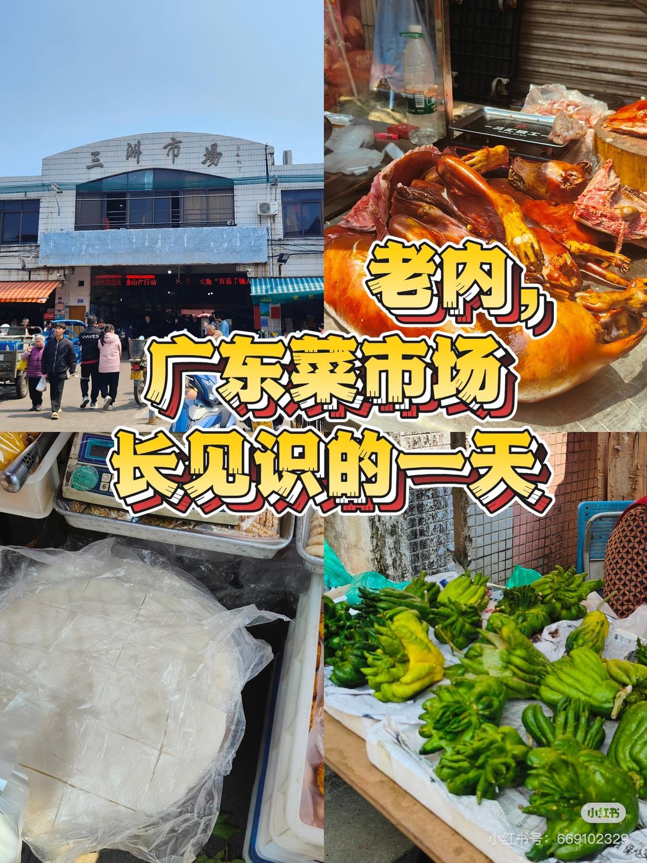 为啥东北人逛广东菜市场总被惊到？原因很简单，不是食材贵，也不是种类奇，而是服务