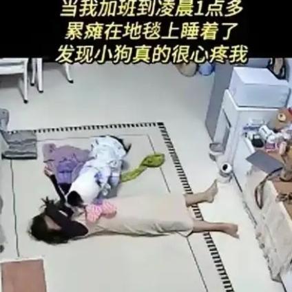 万万没想到！女子凌晨加班睡客厅，监控拍下的一幕，瞬间破防“万万没想到！”广