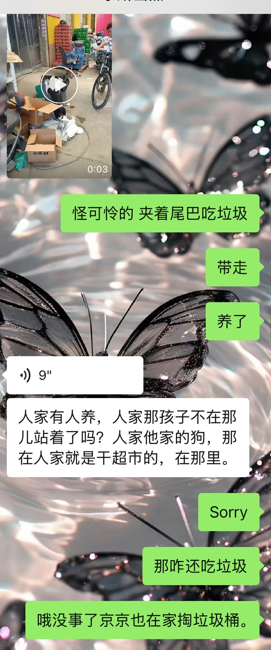 呵呵还以为是可怜黑白比流浪狗在吃垃圾，结果有人养的，吃垃圾也许是个狗爱好吧！