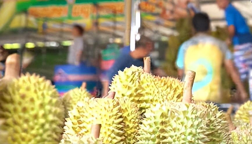 中国人一年吃掉价值500多亿人民币的榴莲，而供应格局正在发生颠覆性变化。2025