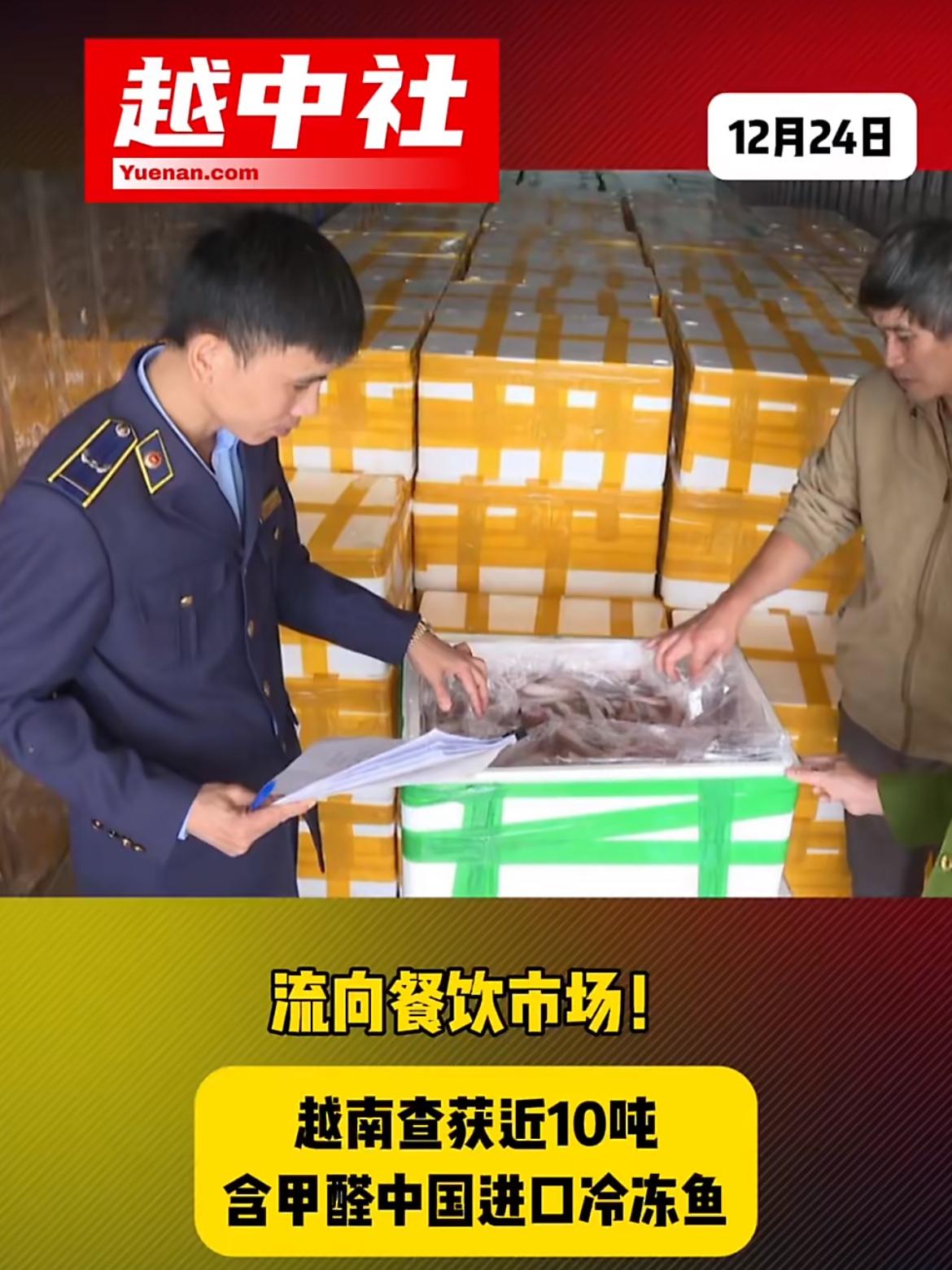 中国输送越南的10吨鱼发现甲醛超标，12月23日，越南清化警方查获一辆从中国凉山