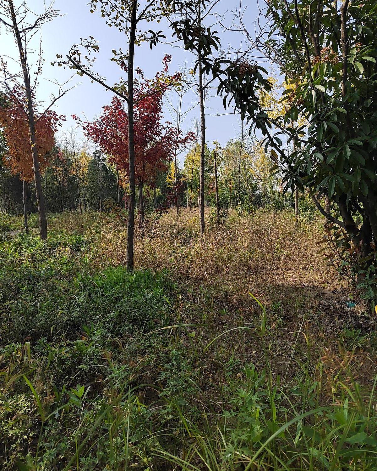 发现没，如今那些不主动联系婆婆的儿媳，根本不是冷漠。恰恰相反，她们是第一批活明