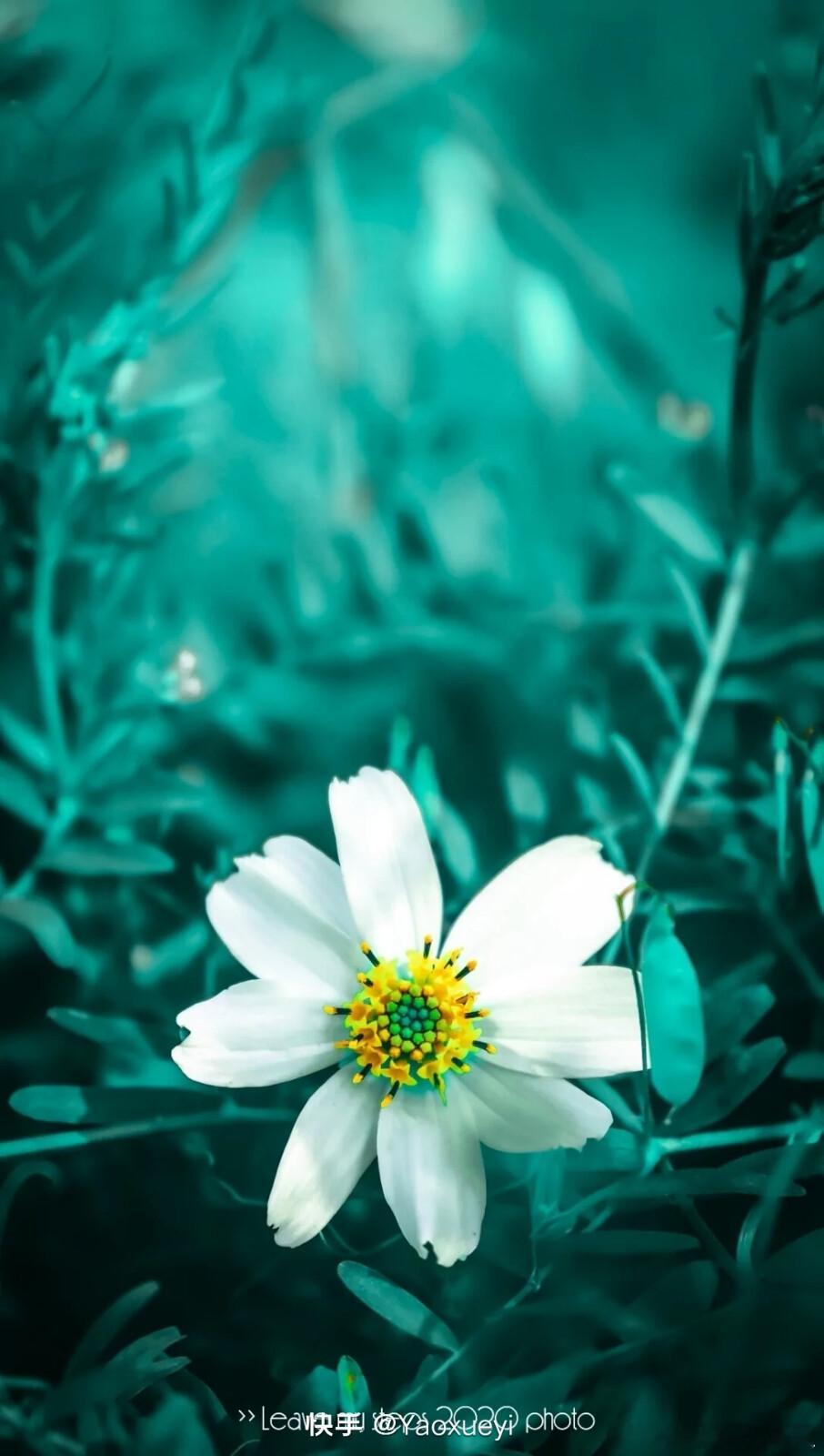 6月属猪人在2026年的农历6月份可能会迎来意外的血光之灾，所以出门在外时要格外