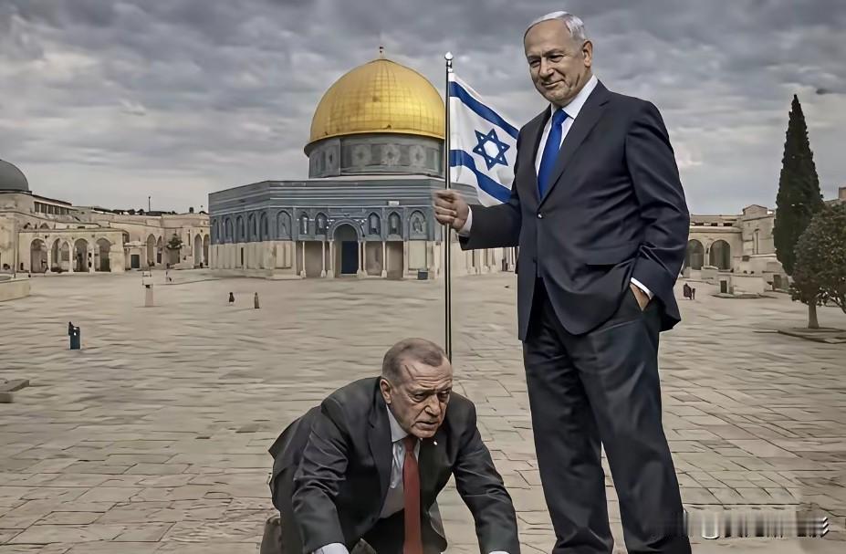 前两天埃尔多安刚骂完内塔尼亚胡，以色列的回击这不就来了嘛！以色列这回的回击，