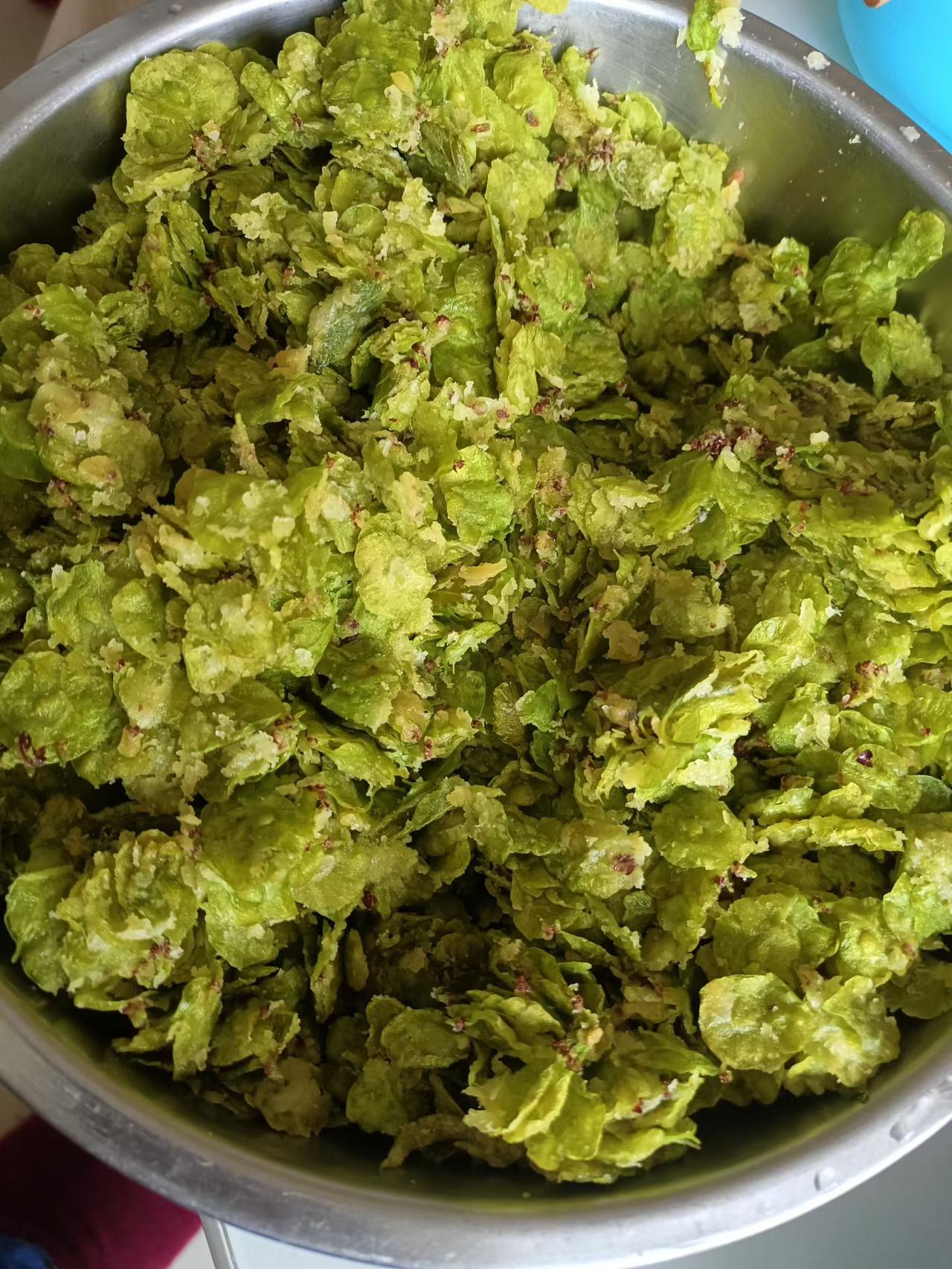 蒸榆钱！你吃过吗？