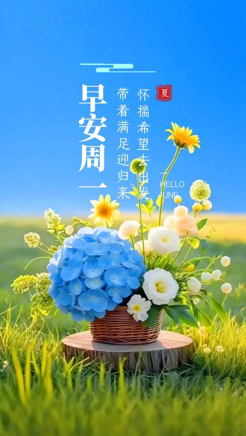 夏晨问安，十里荷香凝雅趣，一生从容纳福长。2026./06.08.[