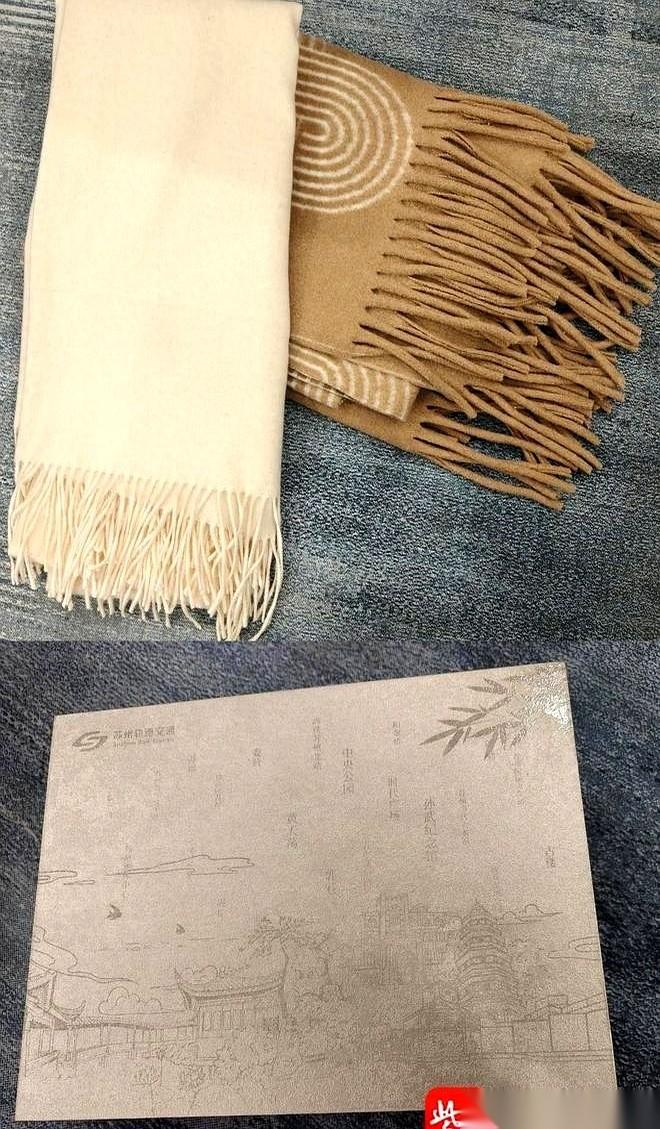 我跟你说，有个姐们儿，用自己的围巾擦了地铁地上的脏水。结果呢？苏州地铁转头就