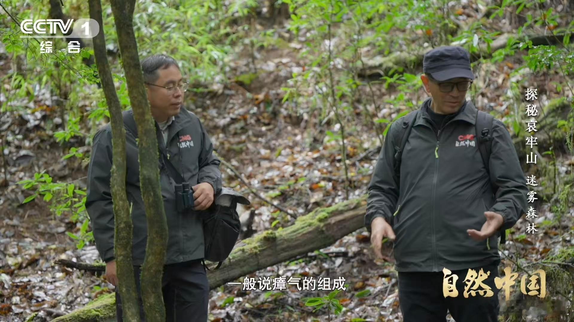 武侠小说的瘴气竟真实存在瘴气成分被测出来了以前看武侠，瘴气就像神秘的魔法屏障，