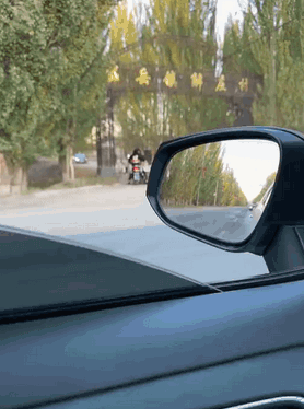 薅羊毛见多了，第一次见被羊薅的