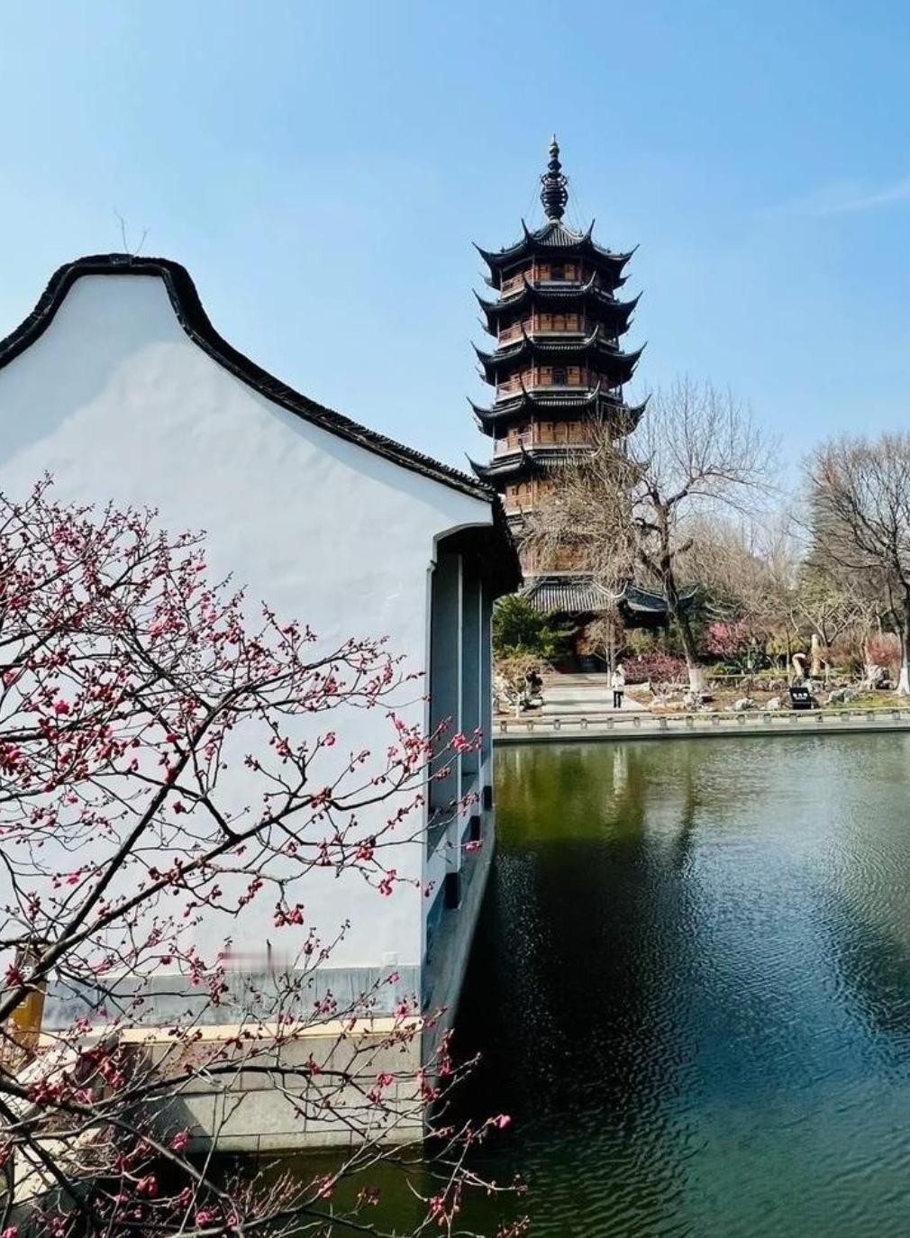 红梅公园，是藏在龙城芯的江南水墨长卷。千年文笔塔矗立池边，夕阳斜照时，金辉浮影，