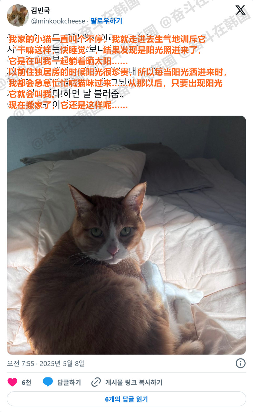 当你有如此贴心的小猫进入网络....海外新鲜事让我的尸体又暖了一下💞💞💞