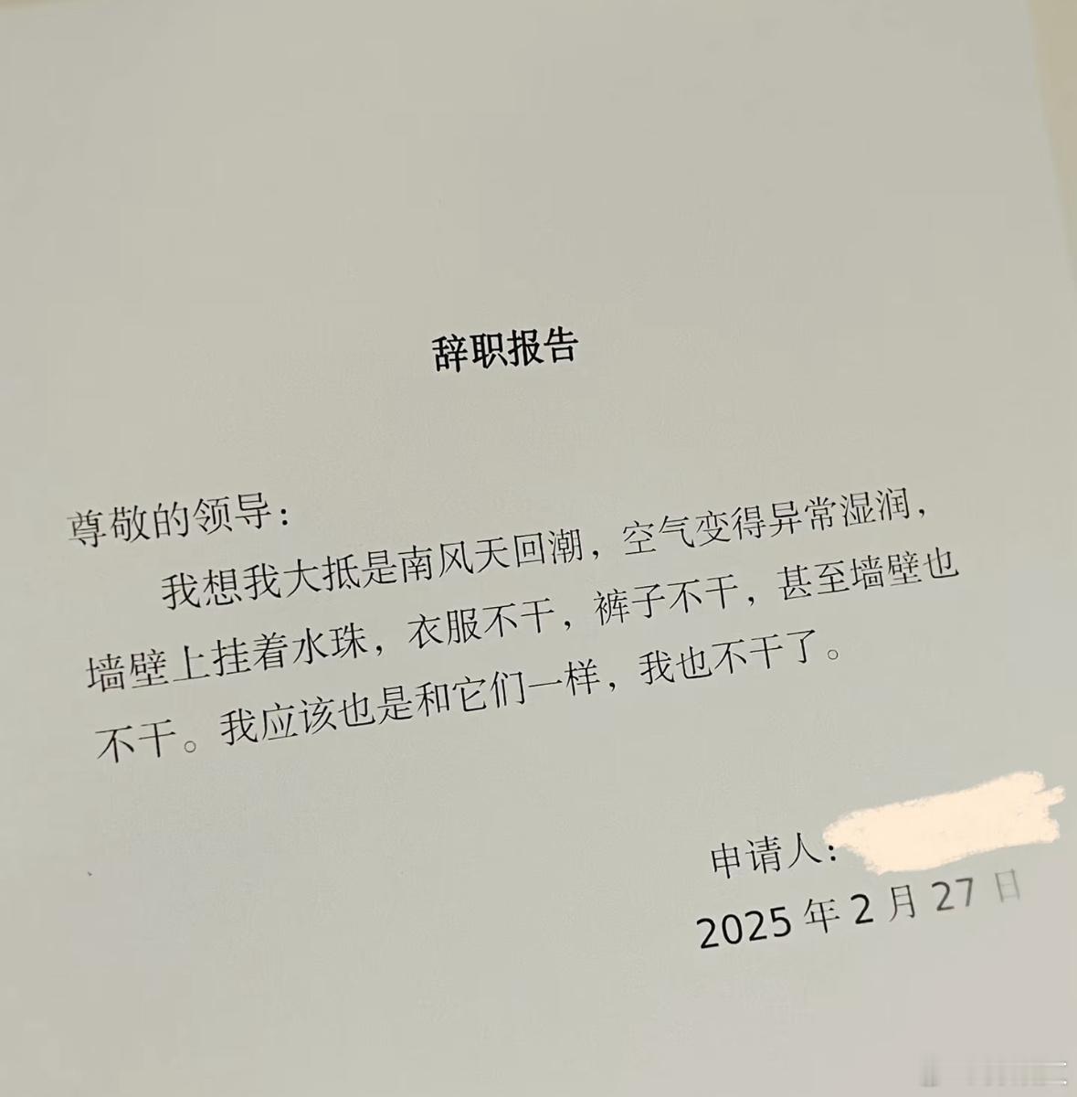 好聪明的牛马回南天辞职报告​​​