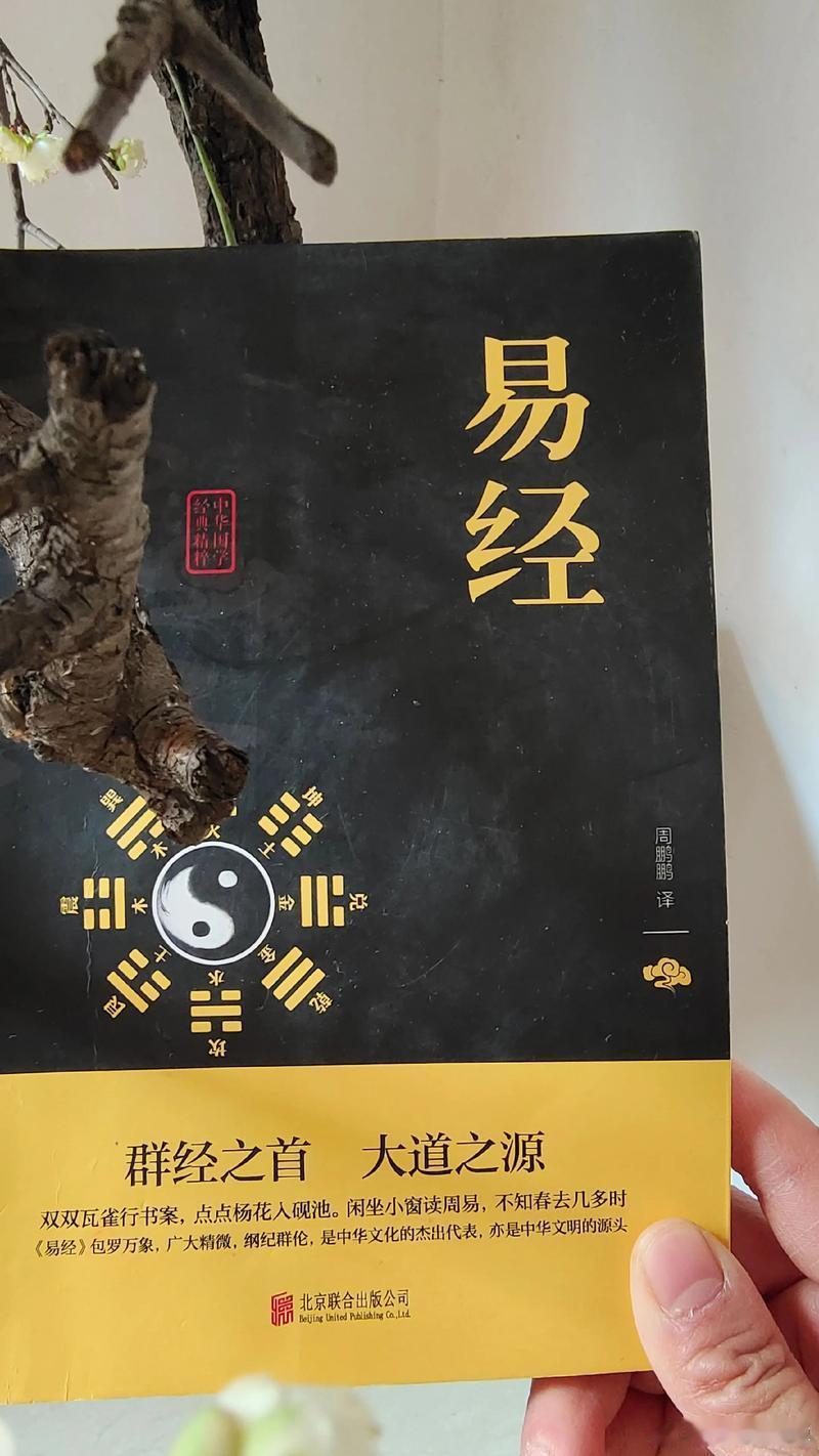 从命里来看，人走大运的时候，会产生跟以前完全不同的三观一，表面越来越安静，内心实
