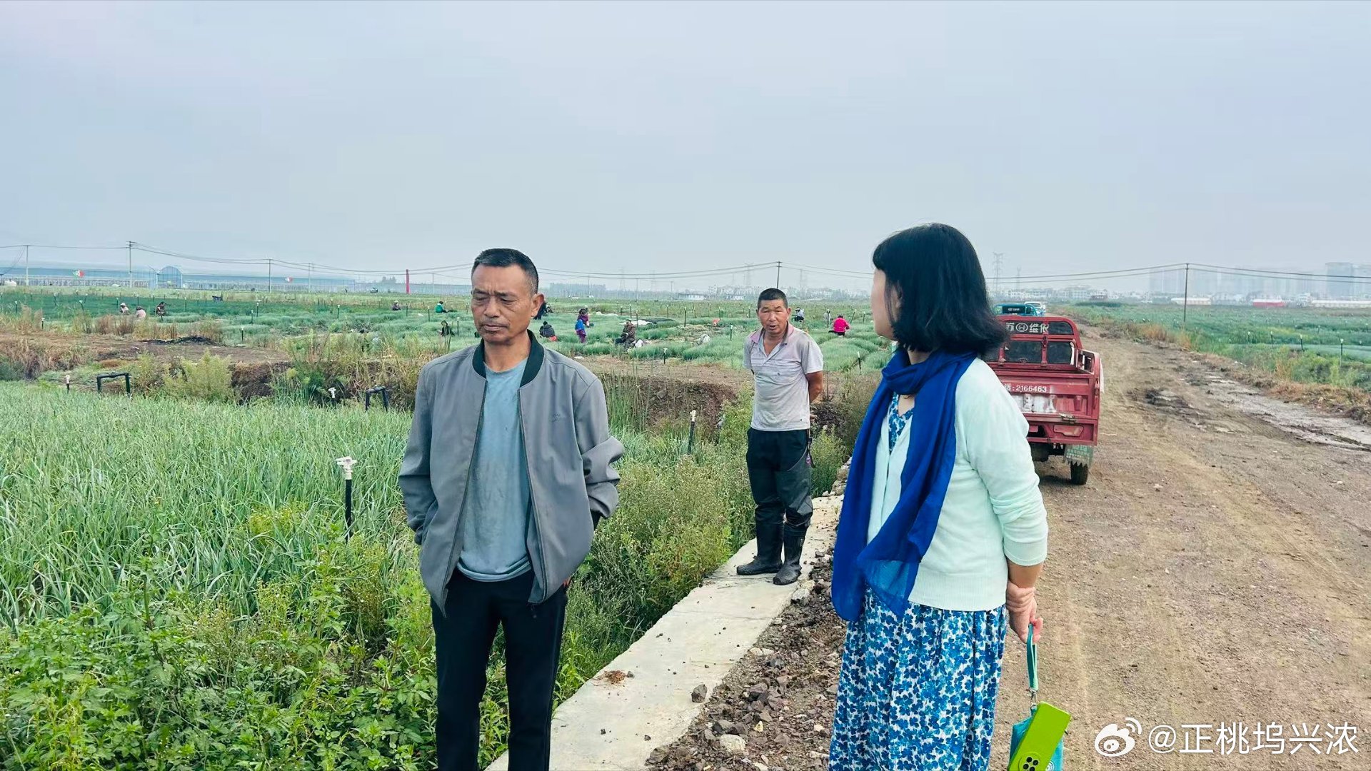 在葱地，老板介绍了以下情况：1.土地流转：一年租金3000元/亩，租了100亩。2.种植情况：现在全