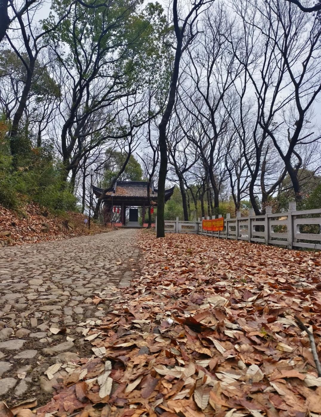 表哥年前轻生走了十年100多万的存钱，一年不到，炒股加上创业赔光不说还欠网贷1