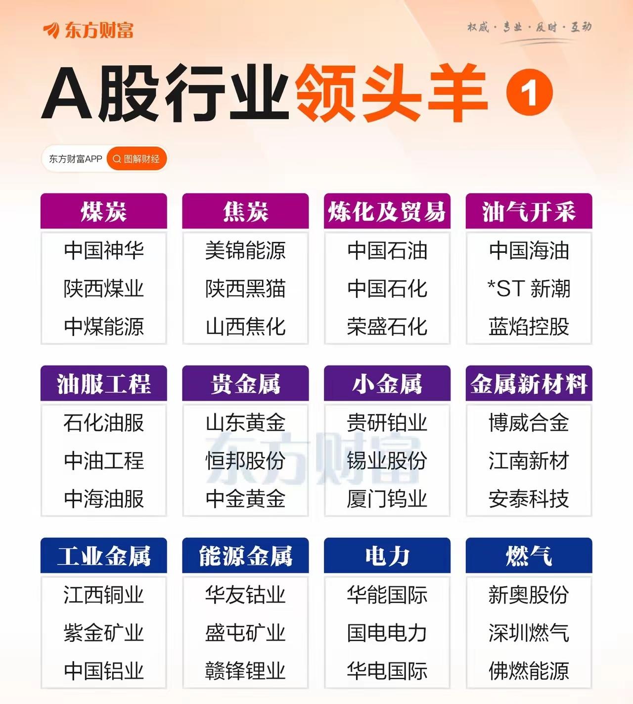 第一波“A股行业领头羊”企业。“A股行业领头羊1”，介绍了煤炭（如中国神华、