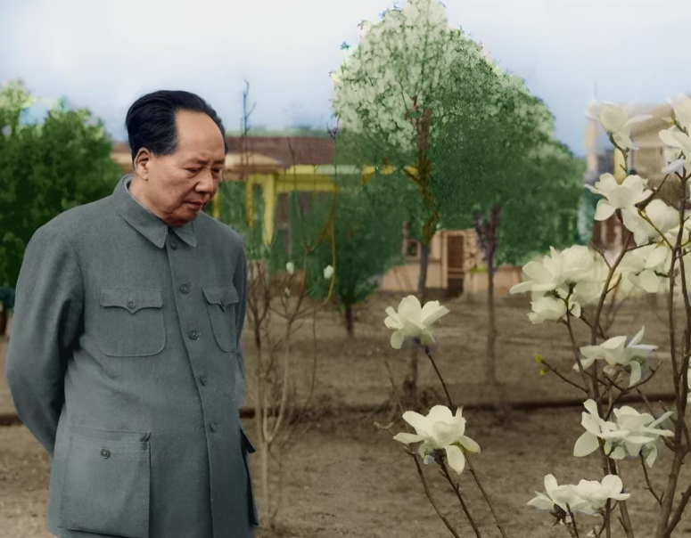 毛主席赏花的一幕，表情有些复杂建国后，有一张珍贵的照片令人瞩目。照片中，毛主