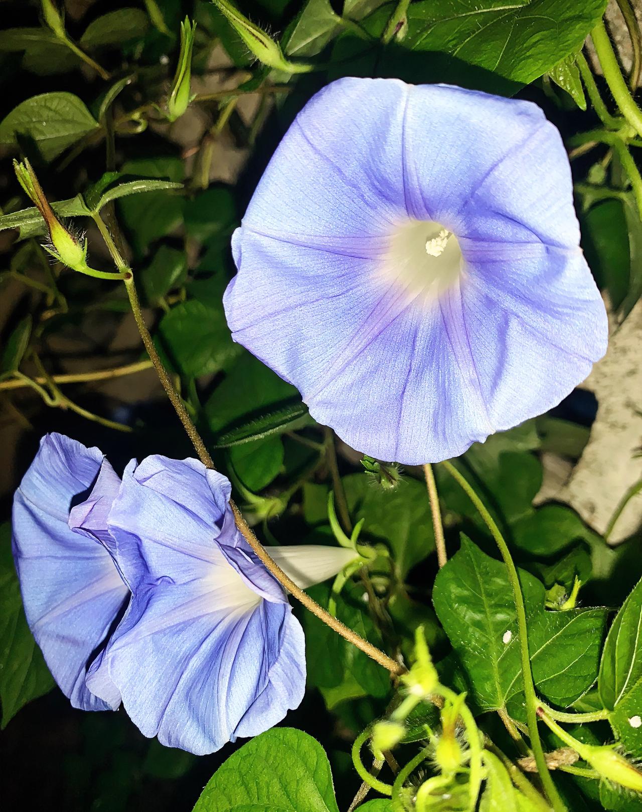 我发现一件很有意思的事。亲家之间，基本上都是孩子婚礼一结束，就再也不联系了。