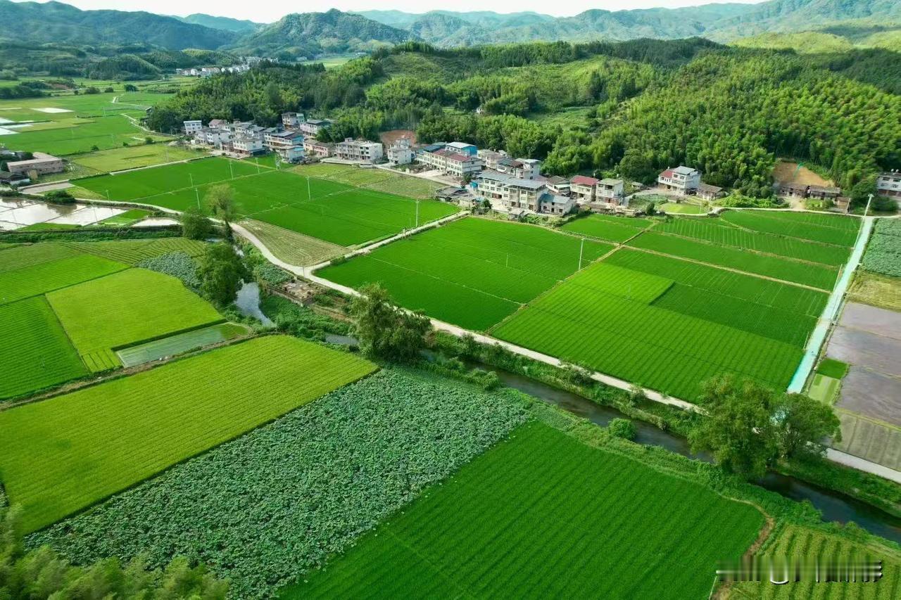 5月18日全国生效！农村耕地建房，一律不受法律保护2026年农村建房最严新