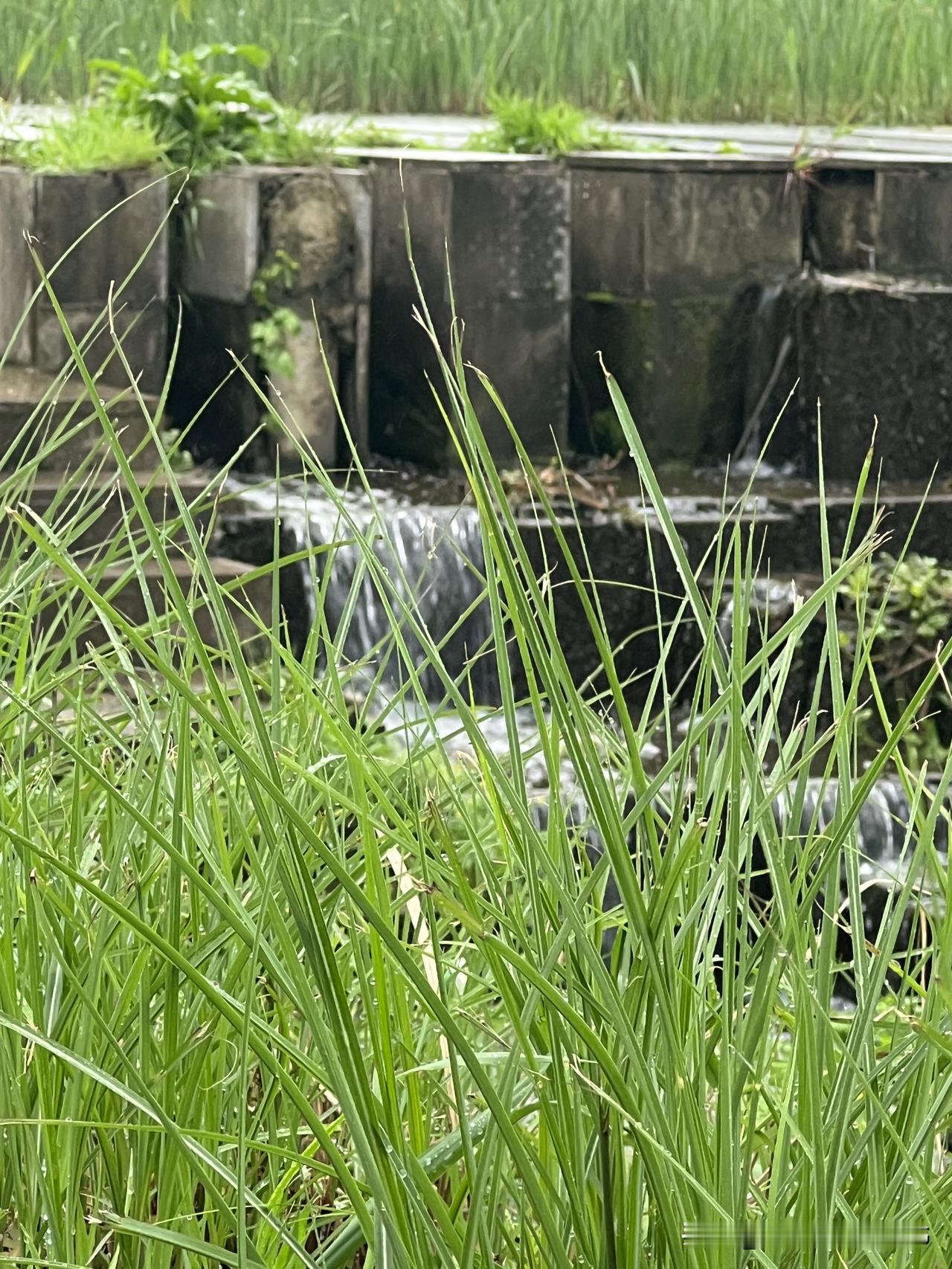 经济要想好，社会各阶层就要达成一个共识：要让自己过得好，就得让别人也过得好，起码