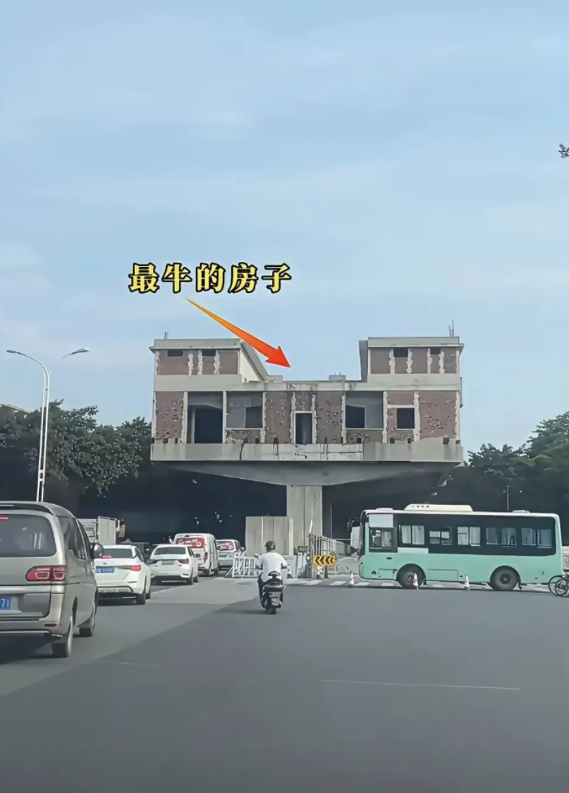 这房主真是个人才呀！