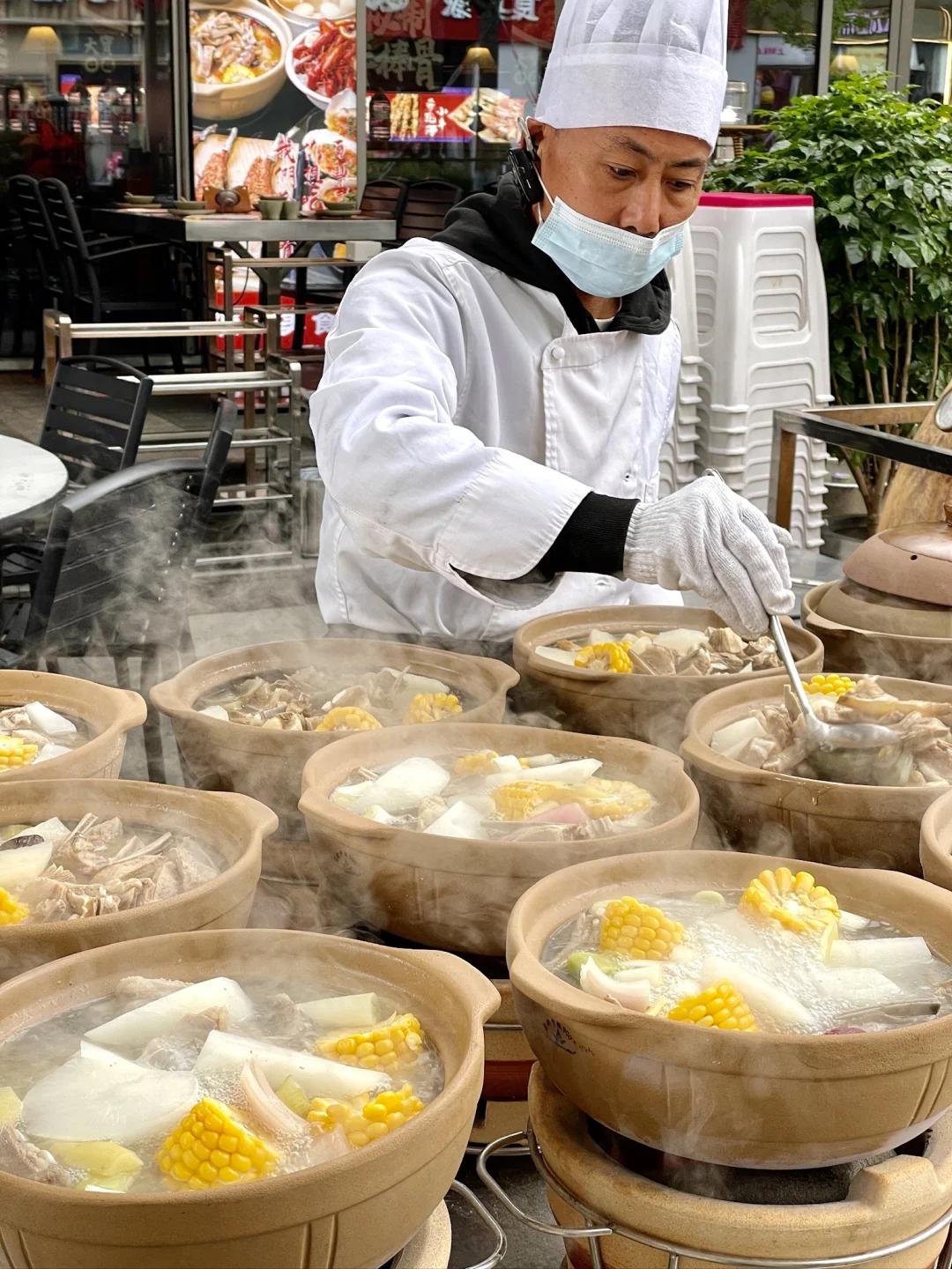 谁懂。。肉食动物在张江的快乐老家！！！